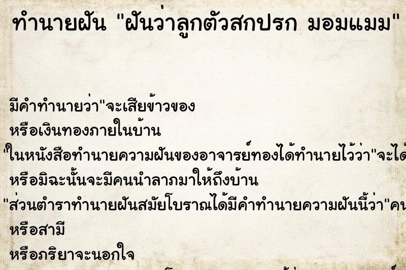 ทำนายฝันฝันว่าลูกตัวสกปรกมอมแมม ทำนายฝันทำนายฝันฝันว่าลูกตัวสกปรกมอมแมม